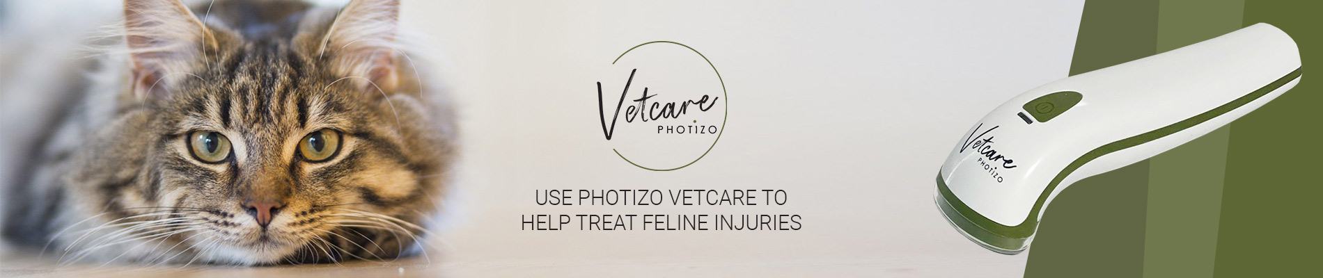 WEB-VETCAR-apr